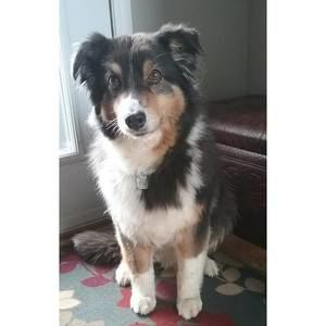 Meet your Posher, Linda